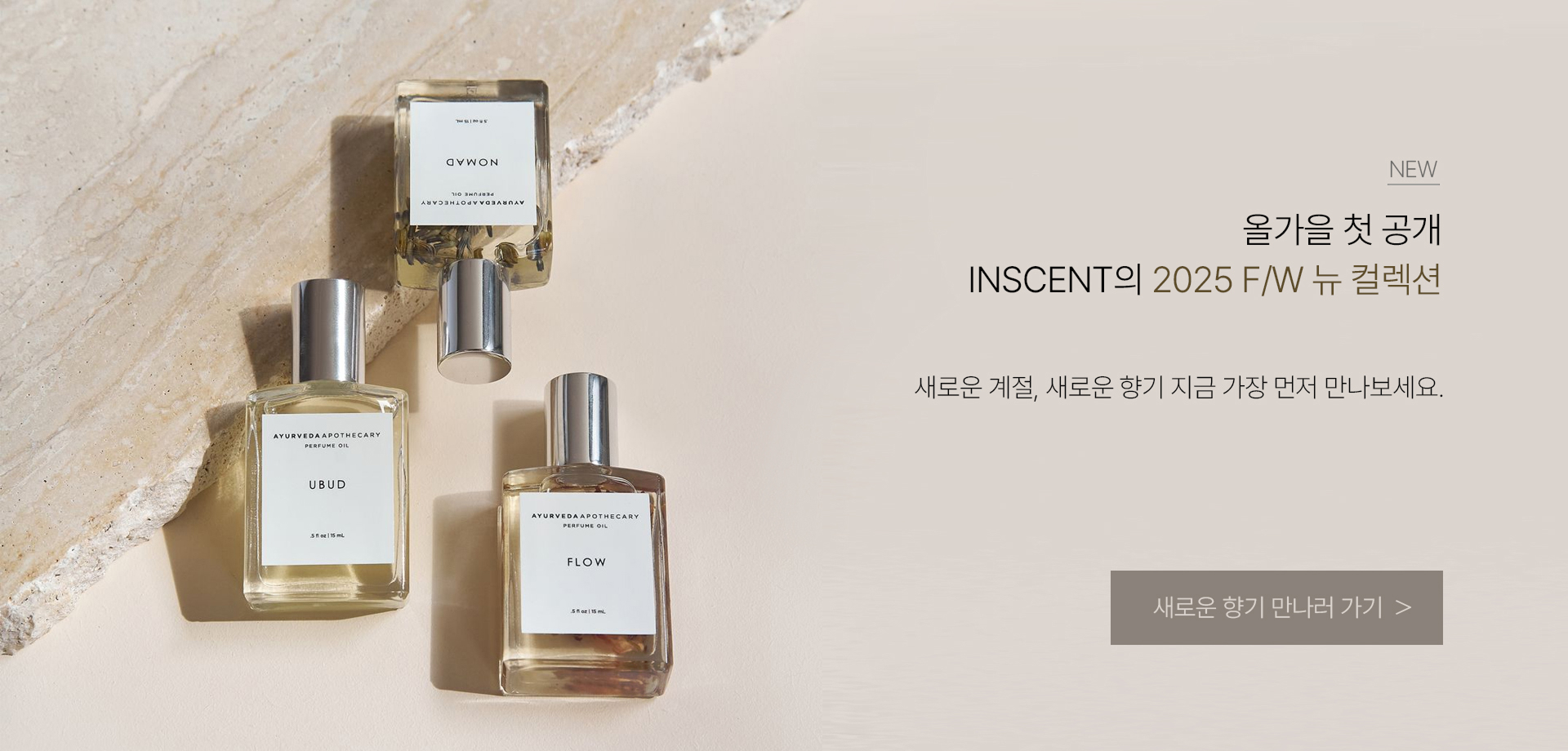 배너4 이미지 - 블랙프라이데이 이벤트 할인행사 이미지
