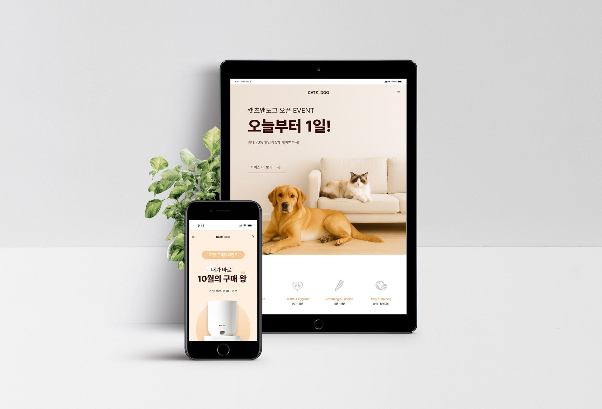 CATS&DOG 프로젝트 썸네일