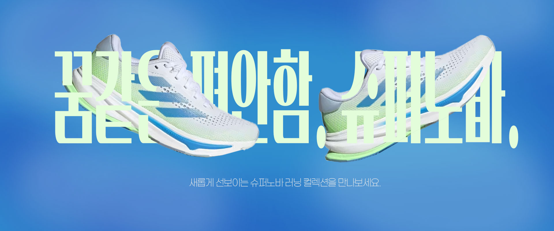 배너