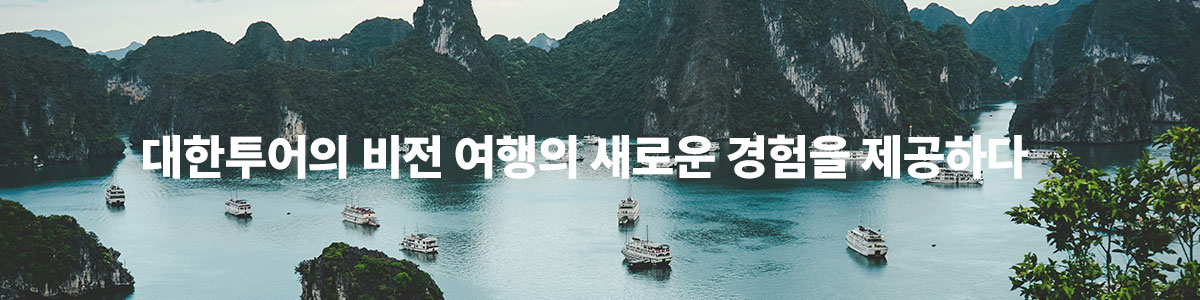 대한투어의 비전 여행의 새로운 경험을 제공하다