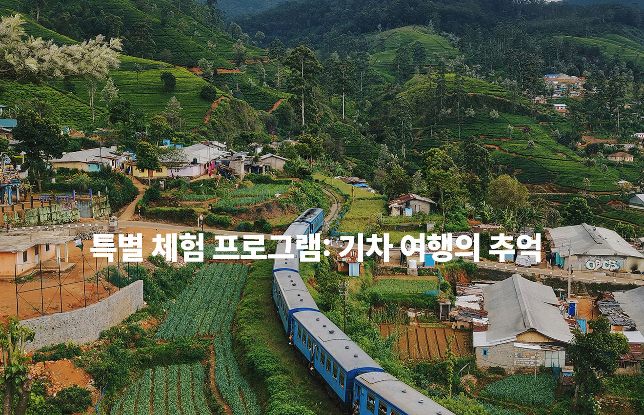 특별 체험 프로그램: 기차 여행의 추억